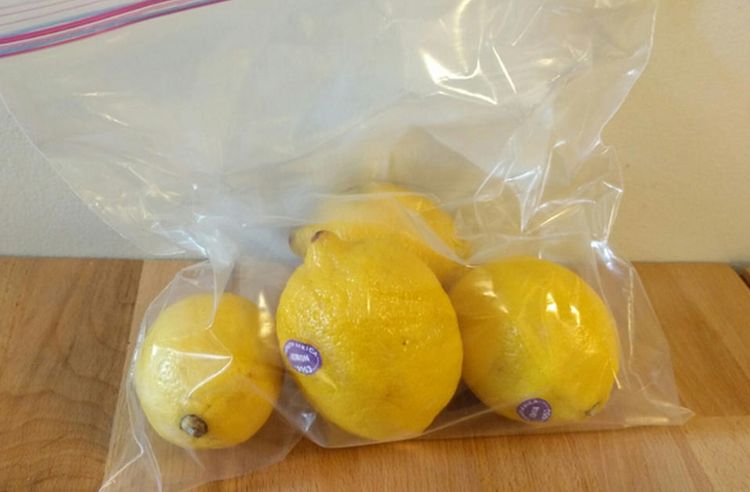 limones conservacion
