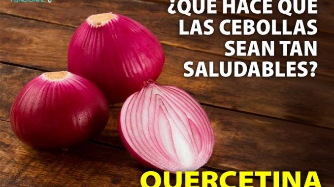 cebol